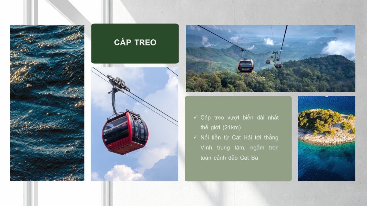 Cap-treo-vuot-bien-cat-ba