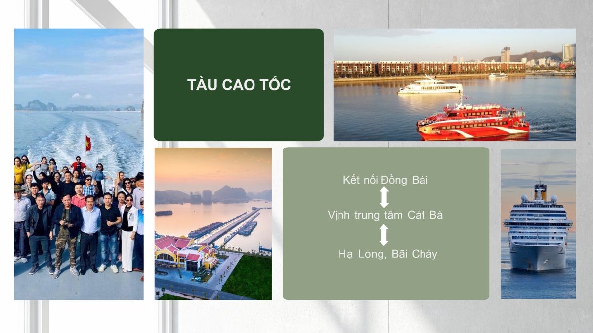 tau-cao-toc-di-cat-ba