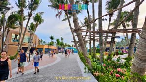 tien-do-sun-cat-ba-xanh-island-3